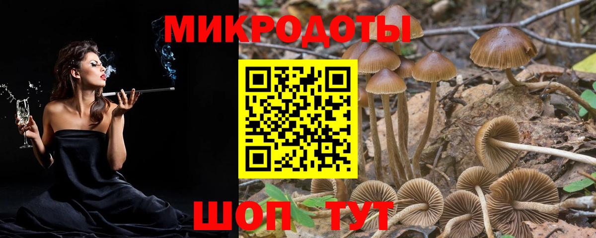 Псилоцибиновые грибы Psilocybe Воткинск