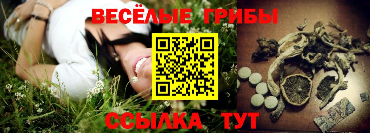 Воткинск  Псилоцибиновые грибы Psilocybe  Псилоцибиновые грибы Magic Shrooms  Вход с VPN 